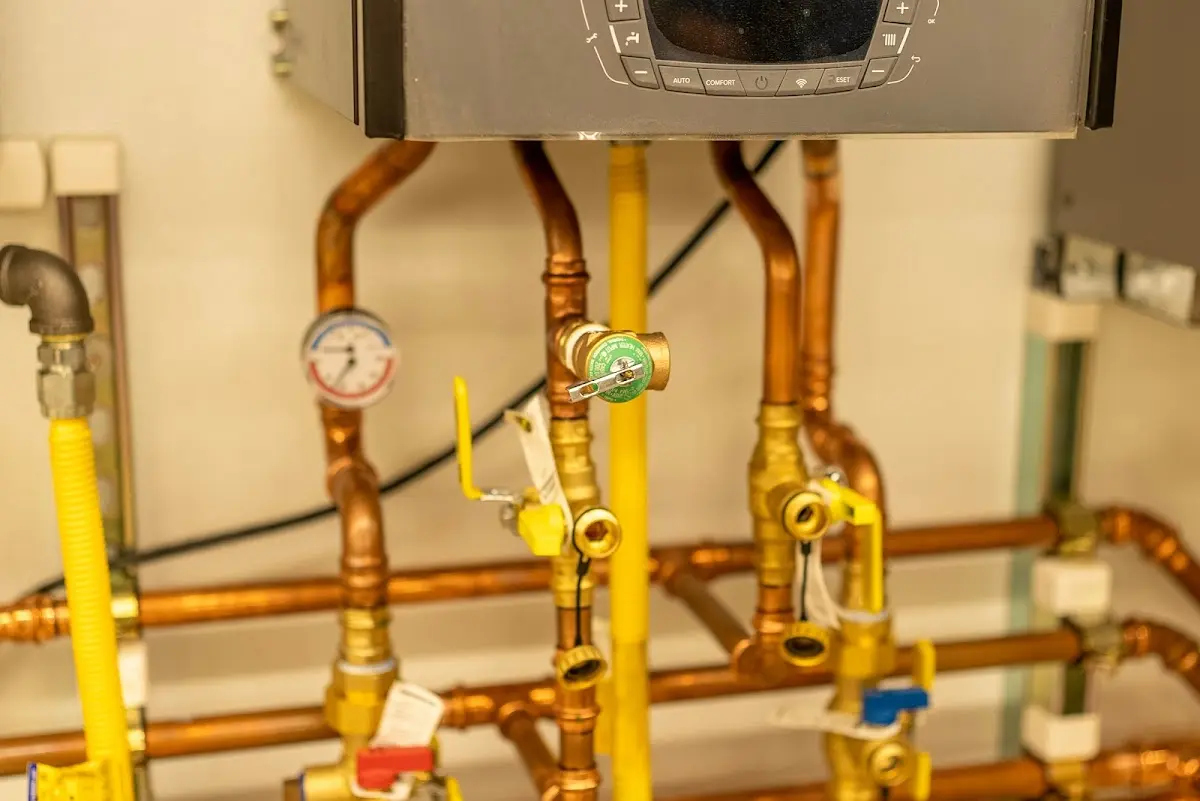 Licensed technician providing Sump Pump Repair for a homeowner in Pocahontas